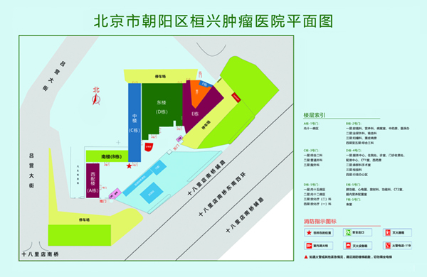 后面插入女人的逼视频北京市朝阳区桓兴肿瘤医院平面图